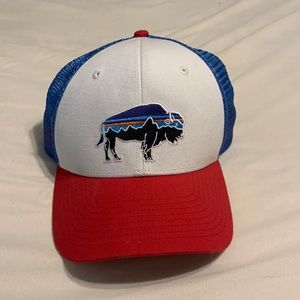 Patagonia Trucker Hat